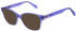 United Colors of Benetton BEO1105 sunglasses in Gloss Crystal Blue/Purple