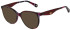 Christian Lacroix CL1143 sunglasses in Red Tort