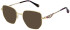 Christian Lacroix CL3088 sunglasses in Gold/Red