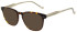 Hackett HEB304 sunglasses in Gloss Dark Tort