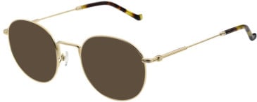 Hackett HEB312 sunglasses in Shiny Light Gold
