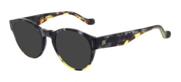 Hackett HJPO104 sunglasses in Black Tort