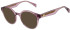 Maje MJ1044 sunglasses in Crystal Pink