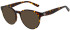 Pepe Jeans PJ3515 sunglasses in Gloss Tort