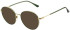 Sandro SD4031 sunglasses in Crystal Dark Green