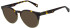 Ted Baker TB2324 sunglasses in Gloss Classic Tort
