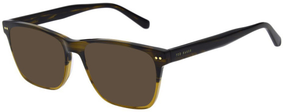 Ted Baker TB8281 sunglasses in Brown Horn