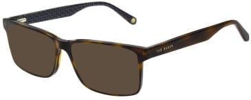 Ted Baker TB8283 sunglasses in Tortoise