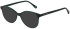 Ted Baker TB9236 sunglasses in Dark Green