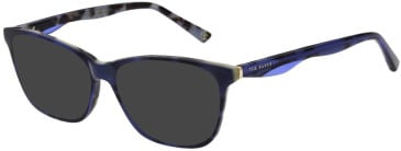 Ted Baker TB9238 sunglasses in Blue