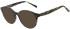 Ted Baker TB9253 sunglasses in Black Pearl