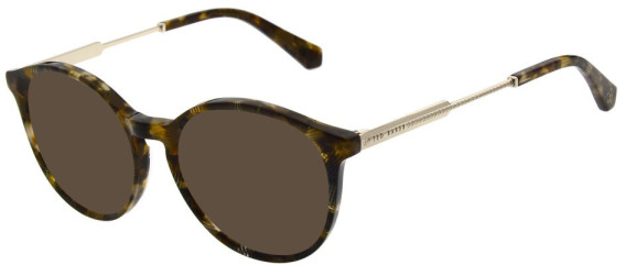 Ted Baker TB9259 sunglasses in Brown