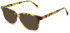 United Colors of Benetton BEO1095 sunglasses in Gloss Classic Tort