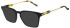 Hackett HEB285 sunglasses in Shiny Black
