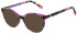 Joules JO3064 sunglasses in Gloss Fuscia/Tort