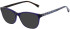 Joules JO3069 sunglasses in Shiny Milky Navy