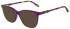 Pepe Jeans PJ3448 sunglasses in Crystal Purple