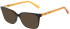 Pepe Jeans PJ3474 sunglasses in Gloss Yellow Tort