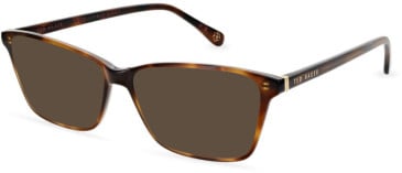 Ted Baker TB9235 sunglasses in Tort