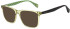 Ted Baker TB8288 sunglasses in Crystal Brown
