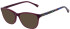Joules JO3069 sunglasses in Shiny Milky Mulberry