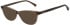 Joules JO3067 sunglasses in Shiny Crystal Light Brown