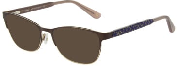 Joules JO1047 sunglasses in Matt Brown