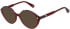 Christian Lacroix CL1146 sunglasses in Red Tort
