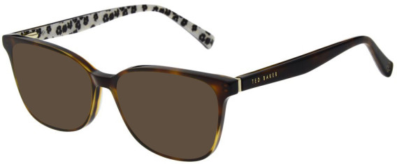 Ted Baker TB9241 sunglasses in Tort