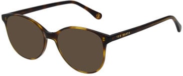 Ted Baker TB9236 sunglasses in Tort