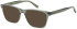 Ted Baker TB8281 sunglasses in Olive Green