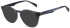 Ted Baker TB2324 sunglasses in Crystal Grey
