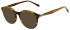 Scotch and Soda SS4024 sunglasses in Gloss Brown Horn