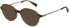 Sandro SD1031 sunglasses in Brown Grey Horn