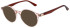 Pepe Jeans PJ3516 sunglasses in Gloss Crystal Coral