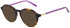 United Colors of Benetton BEO1102 sunglasses in Gloss Brown Tort