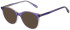 United Colors of Benetton BEO1094 sunglasses in Gloss Crystal Purple/Champagne