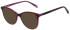 United Colors of Benetton BEO1094 sunglasses in Gloss Brown Havana/Pink
