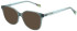 United Colors of Benetton BEO1093 sunglasses in Gloss Milky Green