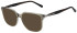 Scotch and Soda SS4025 sunglasses in Gloss Crystal Beige/Taupe