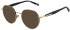 Scotch and Soda SS3029 sunglasses in Shiny Antique Gold