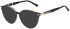 Scotch and Soda SS3026 sunglasses in Gloss Crystal Grey