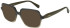 Sandro SD2045 sunglasses in Dark Brown Gradient