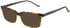 Hackett HEB318 sunglasses in Gloss Brown Stripe