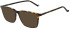 Hackett HEB315 sunglasses in Gloss Tort