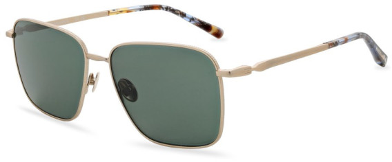 Scotch And Soda SS6017 sunglasses in Brushed Gold