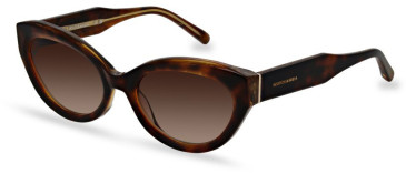 Scotch And Soda SS7019 sunglasses in Amber Tortoise