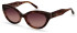 Scotch And Soda SS7019 sunglasses in Purple Granite