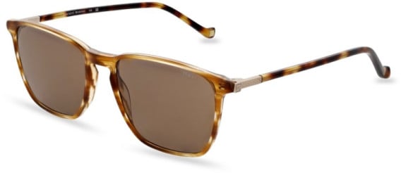 Hackett HSB917 sunglasses in Gloss Honey Stripe
