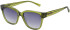 Joules JS7078 sunglasses in Shiny Khaki Green